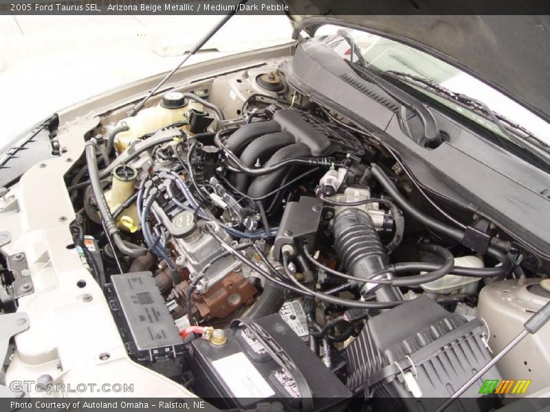 Arizona Beige Metallic / Medium/Dark Pebble 2005 Ford Taurus SEL