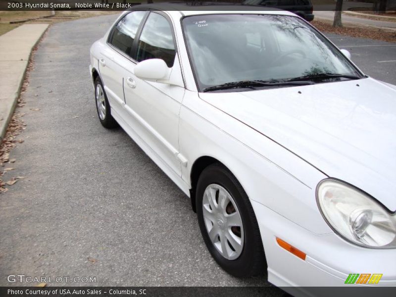 Noble White / Black 2003 Hyundai Sonata