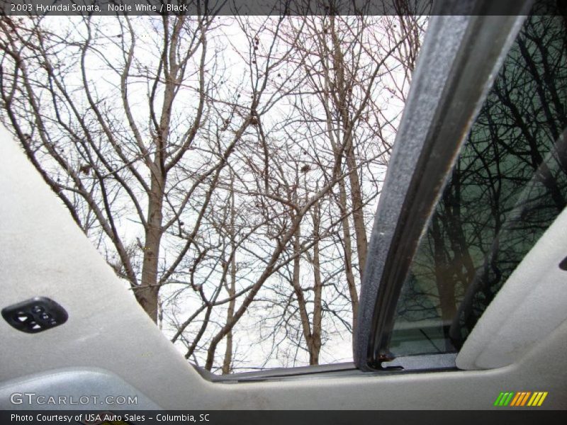 Noble White / Black 2003 Hyundai Sonata
