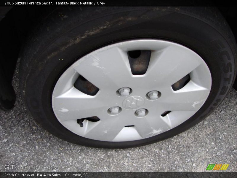 Fantasy Black Metallic / Grey 2006 Suzuki Forenza Sedan