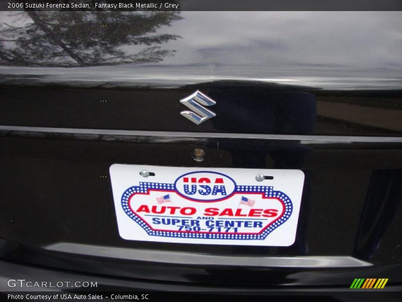 Fantasy Black Metallic / Grey 2006 Suzuki Forenza Sedan