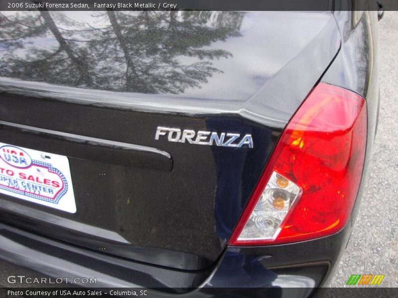 Fantasy Black Metallic / Grey 2006 Suzuki Forenza Sedan