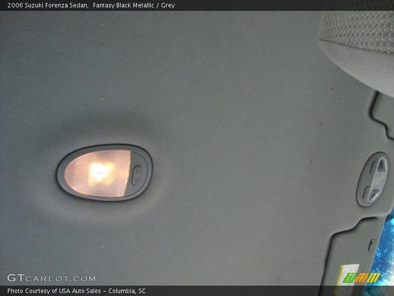 Fantasy Black Metallic / Grey 2006 Suzuki Forenza Sedan