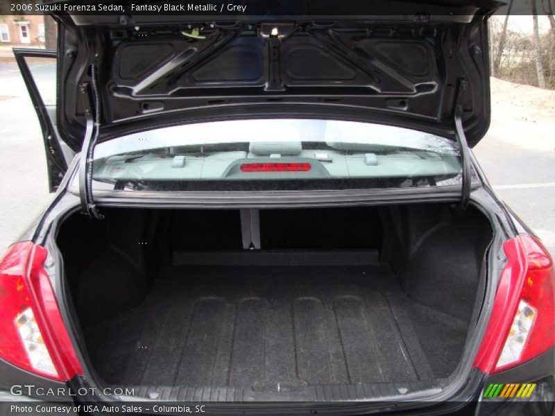 Fantasy Black Metallic / Grey 2006 Suzuki Forenza Sedan