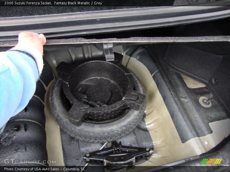 Fantasy Black Metallic / Grey 2006 Suzuki Forenza Sedan