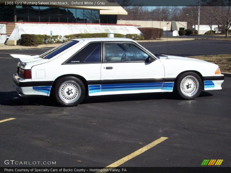Oxford White / Gray 1988 Ford Mustang Saleen Hatchback
