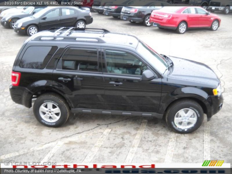 Black / Stone 2010 Ford Escape XLT V6 4WD