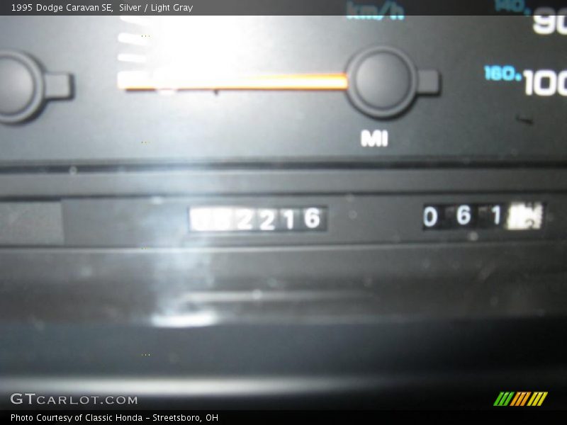 Silver / Light Gray 1995 Dodge Caravan SE