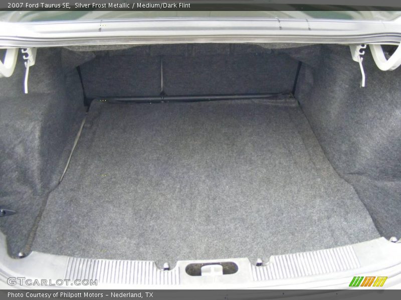 Silver Frost Metallic / Medium/Dark Flint 2007 Ford Taurus SE