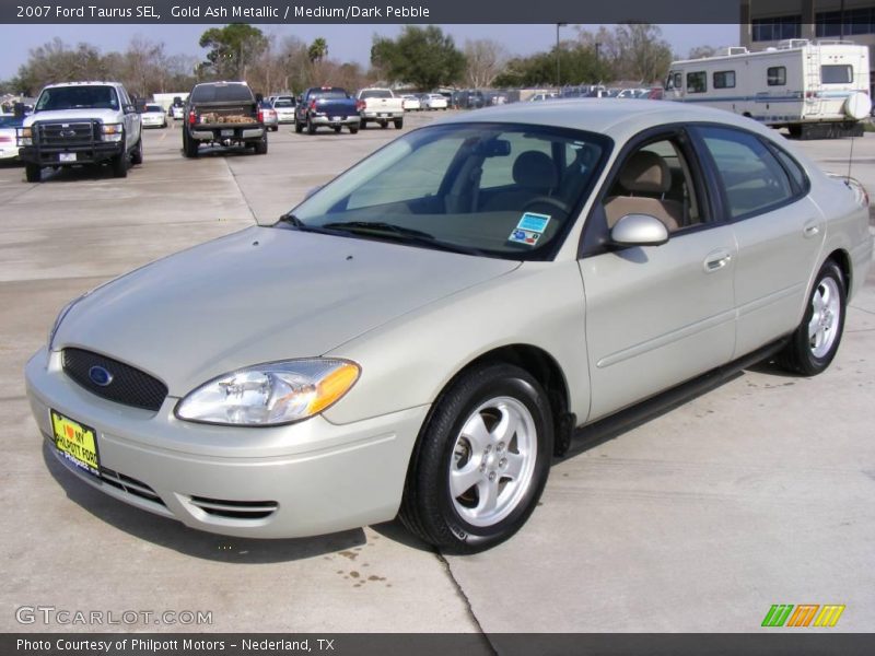 Gold Ash Metallic / Medium/Dark Pebble 2007 Ford Taurus SEL