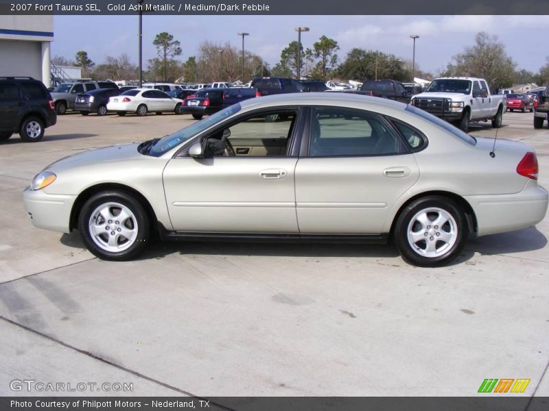 Gold Ash Metallic / Medium/Dark Pebble 2007 Ford Taurus SEL