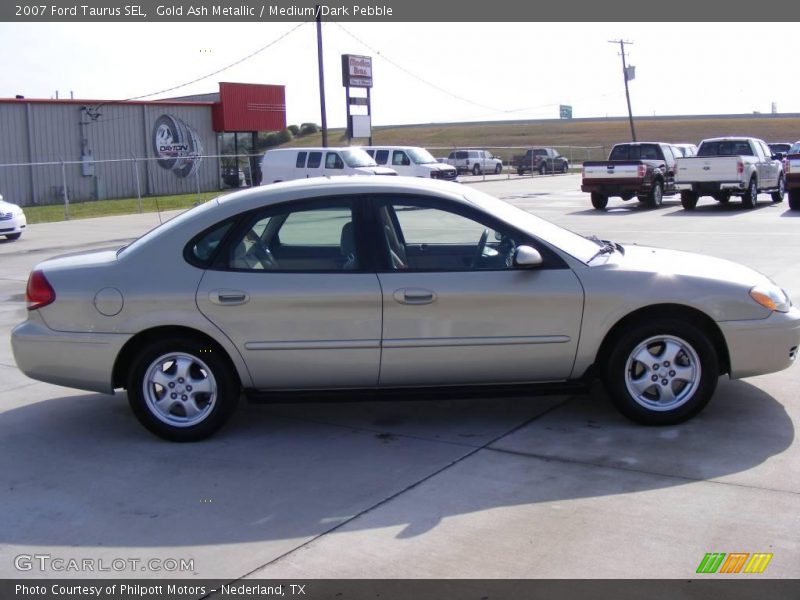 Gold Ash Metallic / Medium/Dark Pebble 2007 Ford Taurus SEL