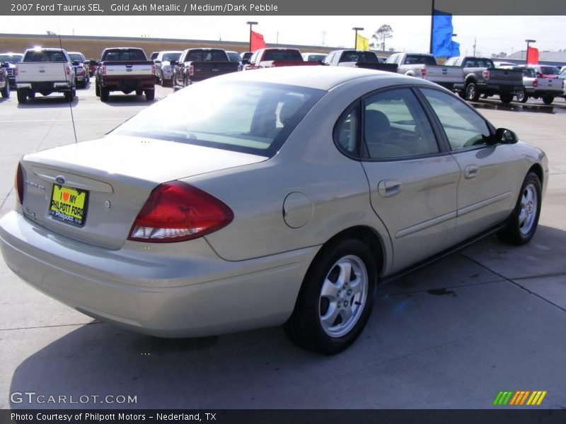 Gold Ash Metallic / Medium/Dark Pebble 2007 Ford Taurus SEL