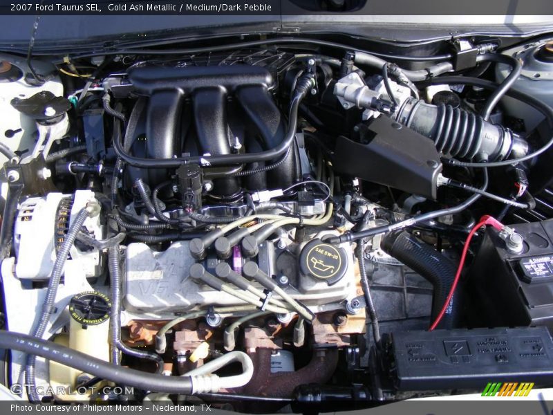 Gold Ash Metallic / Medium/Dark Pebble 2007 Ford Taurus SEL
