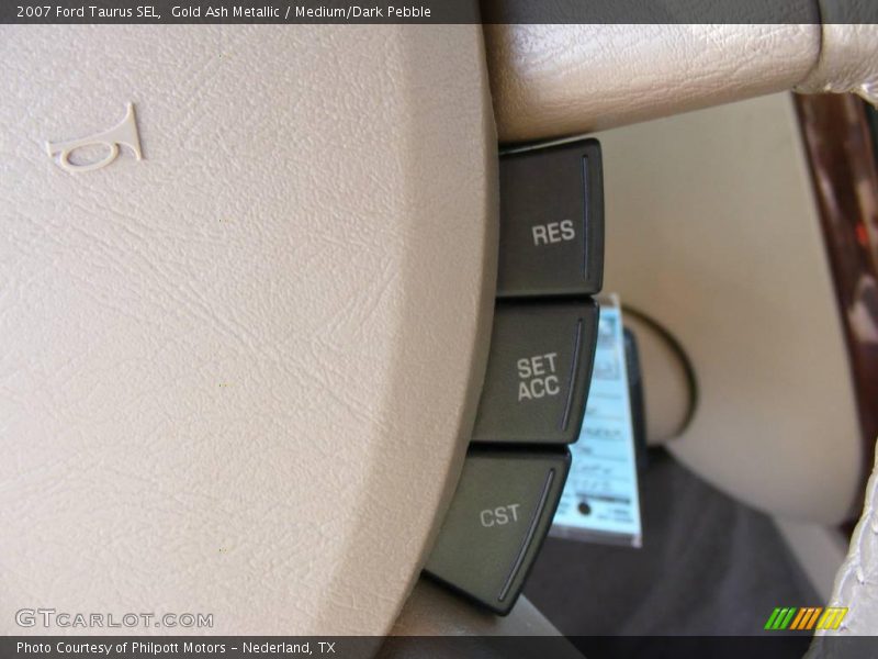 Gold Ash Metallic / Medium/Dark Pebble 2007 Ford Taurus SEL