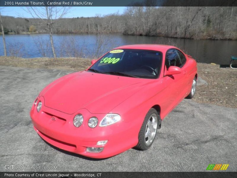 Cardinal Red / Black/Gray 2001 Hyundai Tiburon