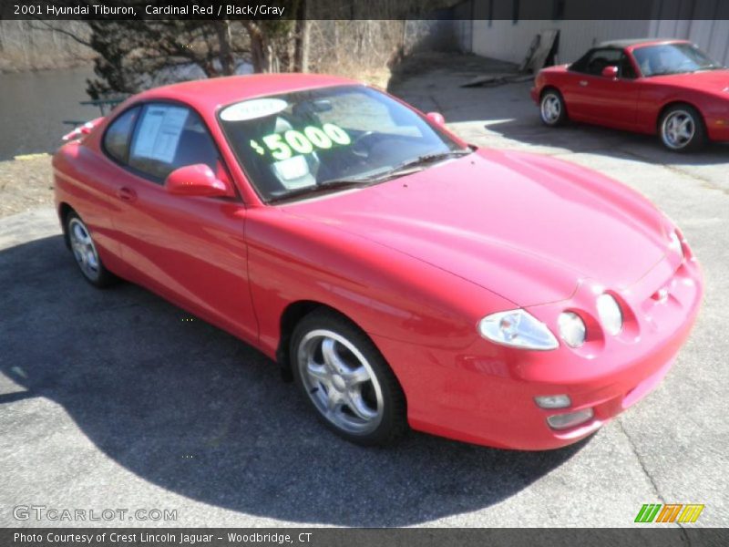 Cardinal Red / Black/Gray 2001 Hyundai Tiburon