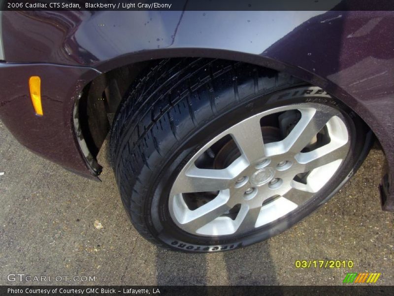 Blackberry / Light Gray/Ebony 2006 Cadillac CTS Sedan