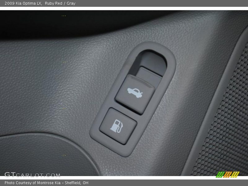 Ruby Red / Gray 2009 Kia Optima LX