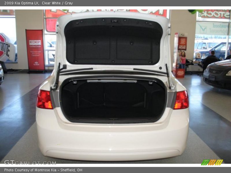 Clear White / Gray 2009 Kia Optima LX