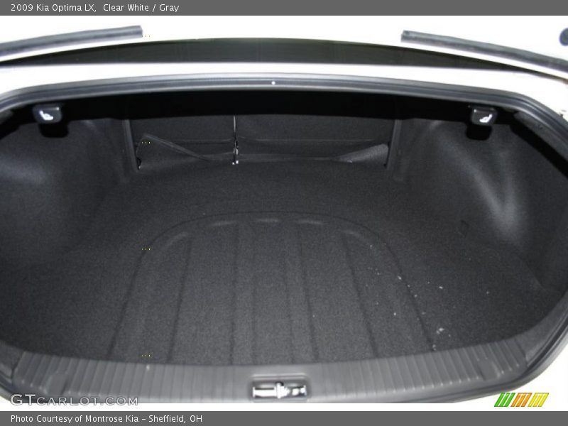 Clear White / Gray 2009 Kia Optima LX