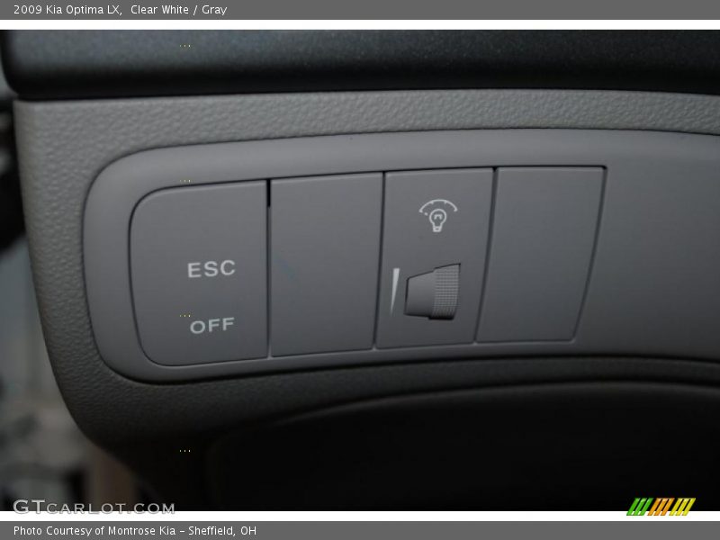 Clear White / Gray 2009 Kia Optima LX
