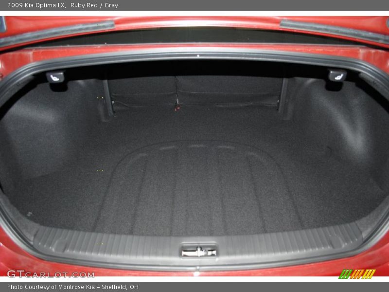 Ruby Red / Gray 2009 Kia Optima LX