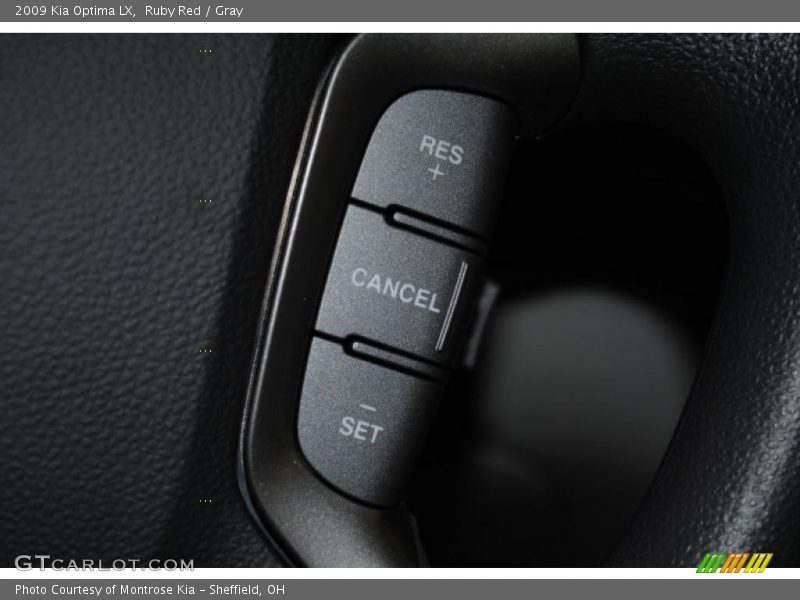 Ruby Red / Gray 2009 Kia Optima LX