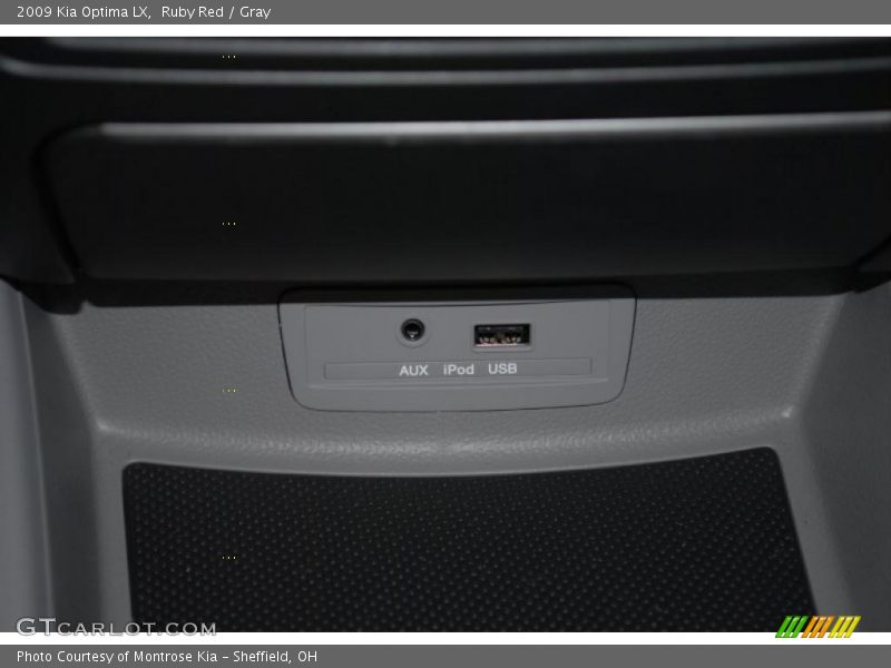 Ruby Red / Gray 2009 Kia Optima LX