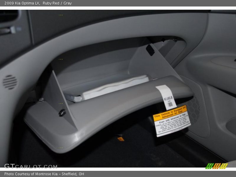 Ruby Red / Gray 2009 Kia Optima LX