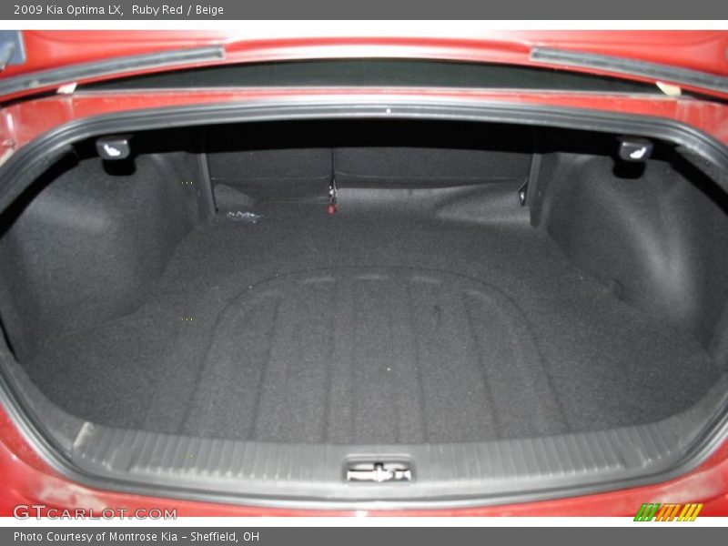 Ruby Red / Beige 2009 Kia Optima LX