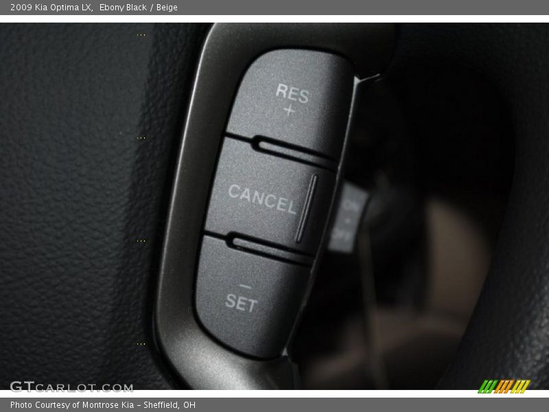 Ebony Black / Beige 2009 Kia Optima LX