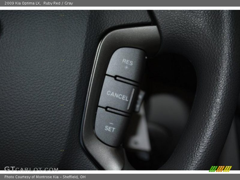 Ruby Red / Gray 2009 Kia Optima LX