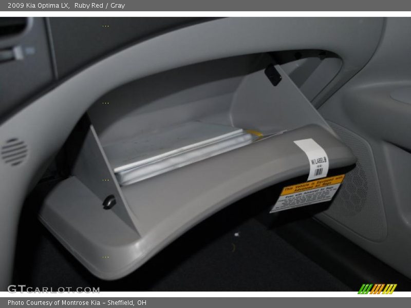 Ruby Red / Gray 2009 Kia Optima LX