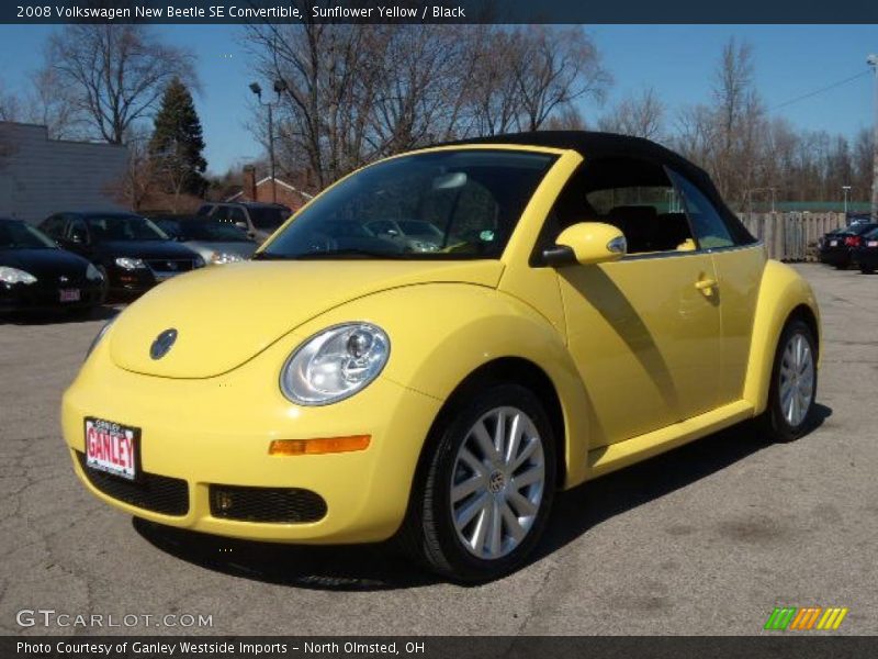 Sunflower Yellow / Black 2008 Volkswagen New Beetle SE Convertible