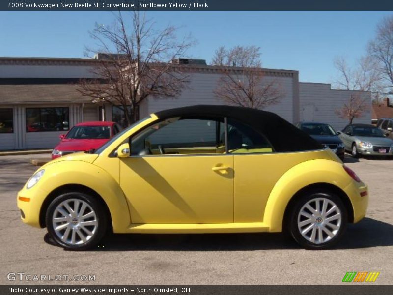 Sunflower Yellow / Black 2008 Volkswagen New Beetle SE Convertible