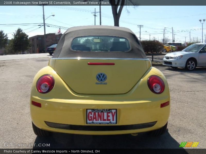 Sunflower Yellow / Black 2008 Volkswagen New Beetle SE Convertible
