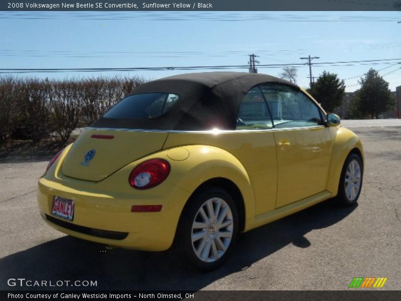 Sunflower Yellow / Black 2008 Volkswagen New Beetle SE Convertible
