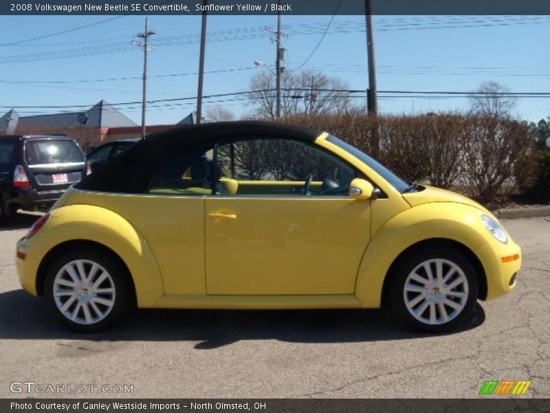 Sunflower Yellow / Black 2008 Volkswagen New Beetle SE Convertible