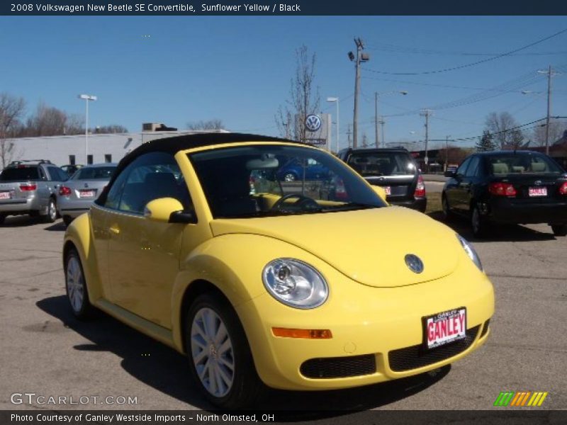 Sunflower Yellow / Black 2008 Volkswagen New Beetle SE Convertible