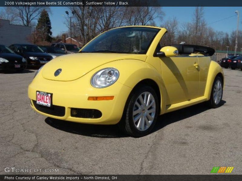 Sunflower Yellow / Black 2008 Volkswagen New Beetle SE Convertible