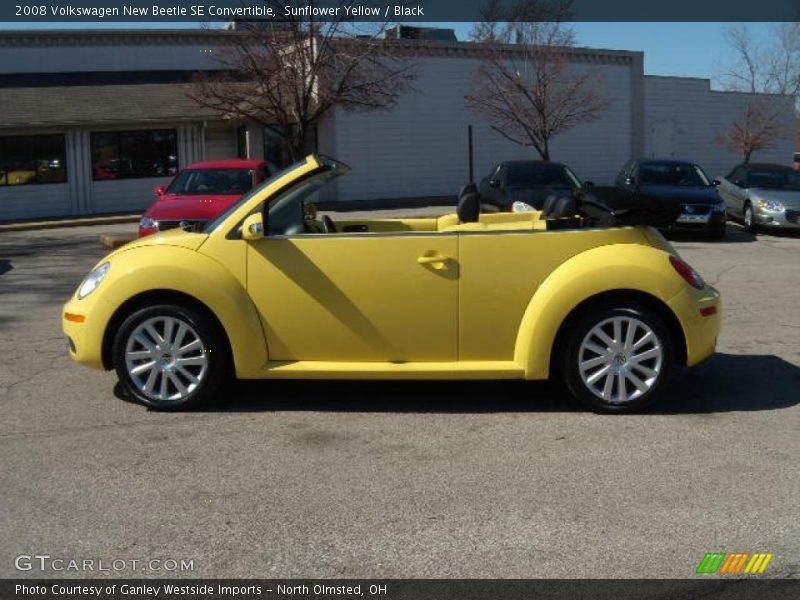 Sunflower Yellow / Black 2008 Volkswagen New Beetle SE Convertible