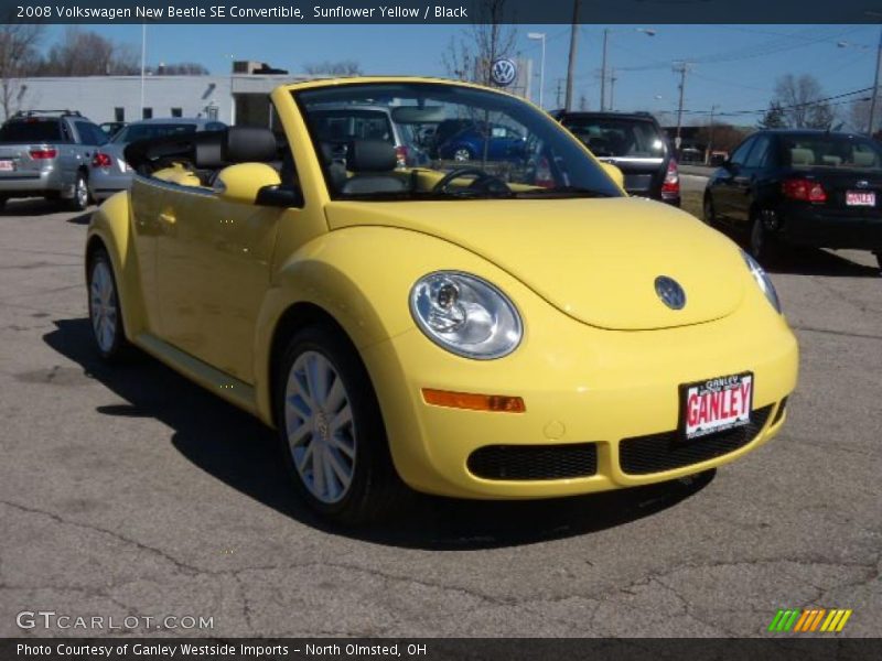 Sunflower Yellow / Black 2008 Volkswagen New Beetle SE Convertible