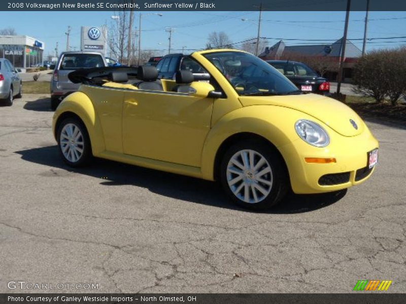 Sunflower Yellow / Black 2008 Volkswagen New Beetle SE Convertible