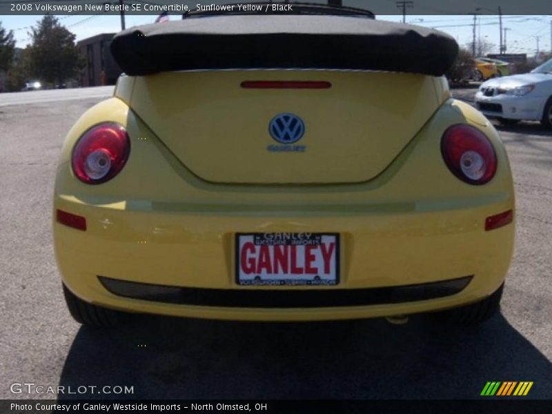 Sunflower Yellow / Black 2008 Volkswagen New Beetle SE Convertible