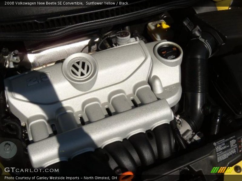 Sunflower Yellow / Black 2008 Volkswagen New Beetle SE Convertible