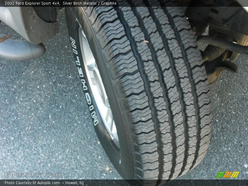 Silver Birch Metallic / Graphite 2002 Ford Explorer Sport 4x4