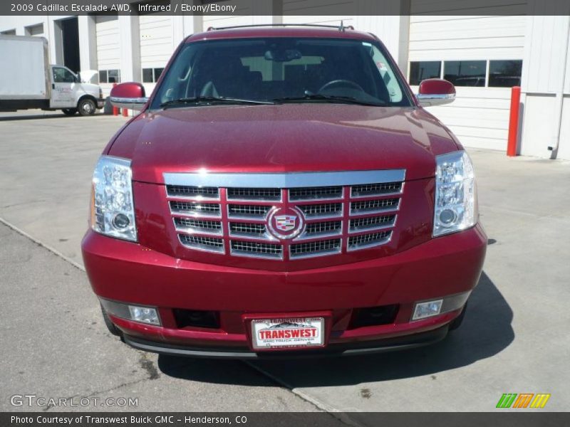Infrared / Ebony/Ebony 2009 Cadillac Escalade AWD
