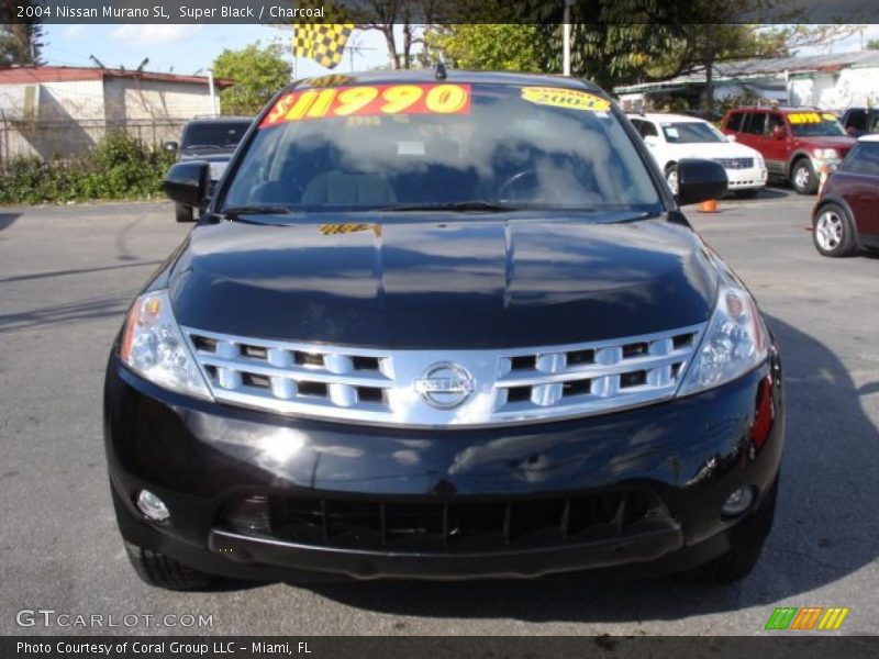 Super Black / Charcoal 2004 Nissan Murano SL