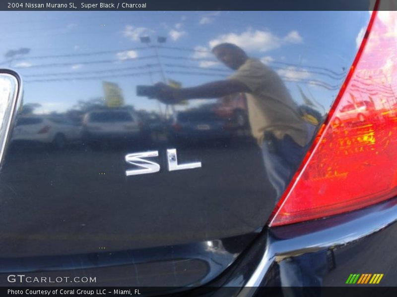 Super Black / Charcoal 2004 Nissan Murano SL